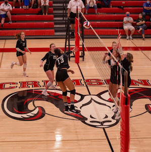 Meet your Posher, Koryn smith